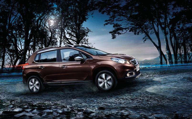 WDCM上传图片 WDCM上传图片