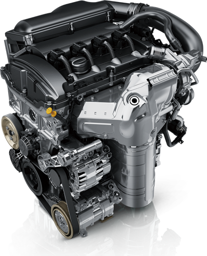 WDCM上传图片 WDCM上传图片