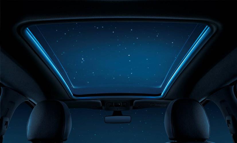 WDCM上传图片 WDCM上传图片